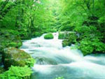 Le cascate